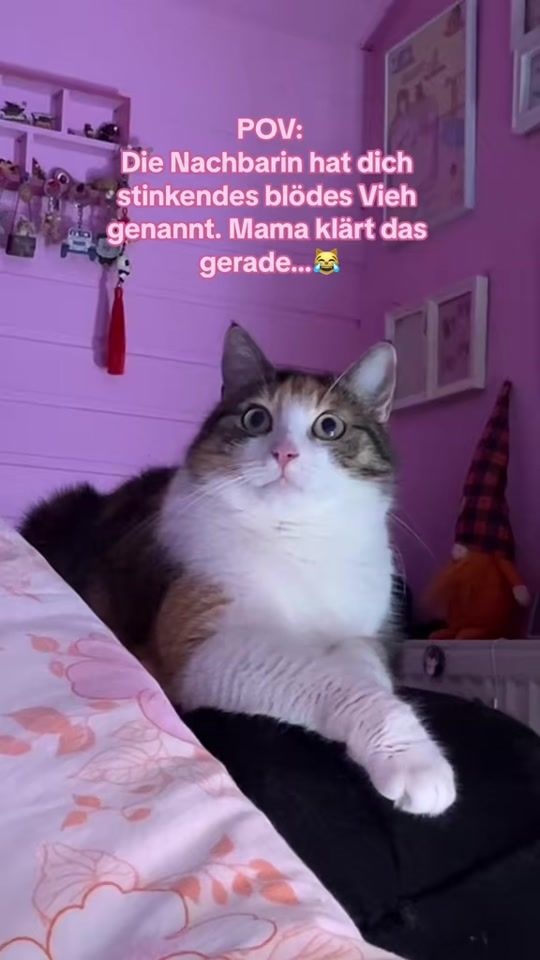 TikTok video thumbnail by fellbande