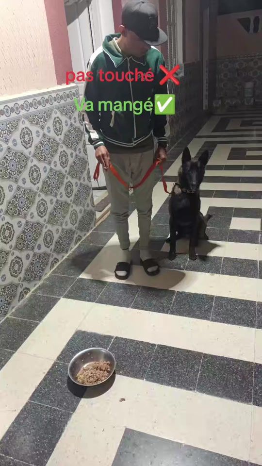 TikTok video thumbnail by nader_ouni