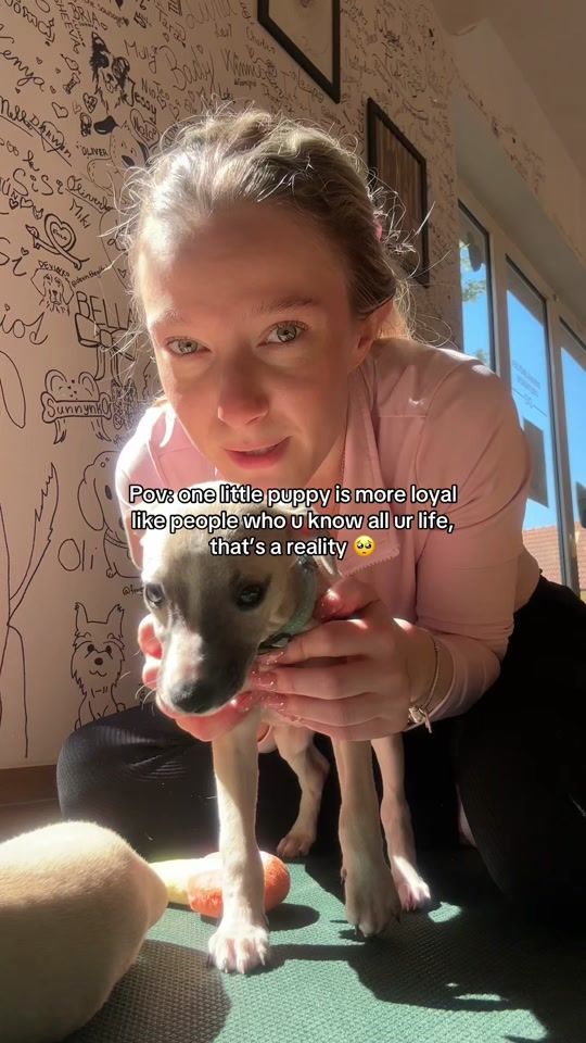 TikTok video thumbnail by queenwlupus