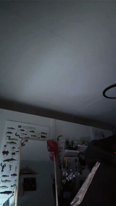 TikTok video thumbnail by iakyai
