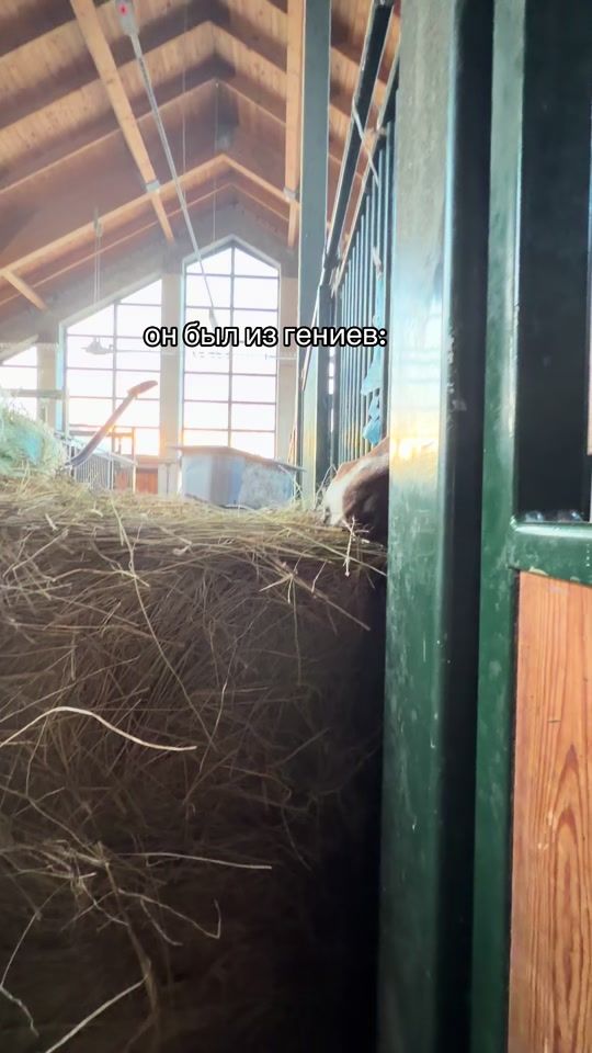 TikTok video thumbnail by m0918046
