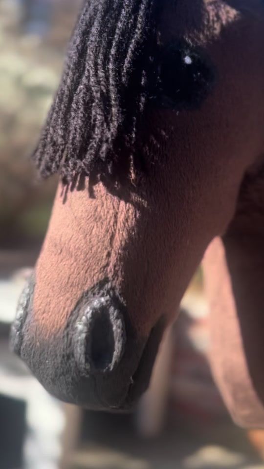 TikTok video thumbnail by hob_horse