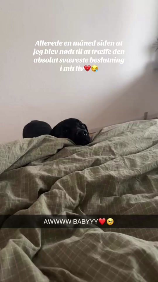 TikTok video thumbnail by vaps_carlo