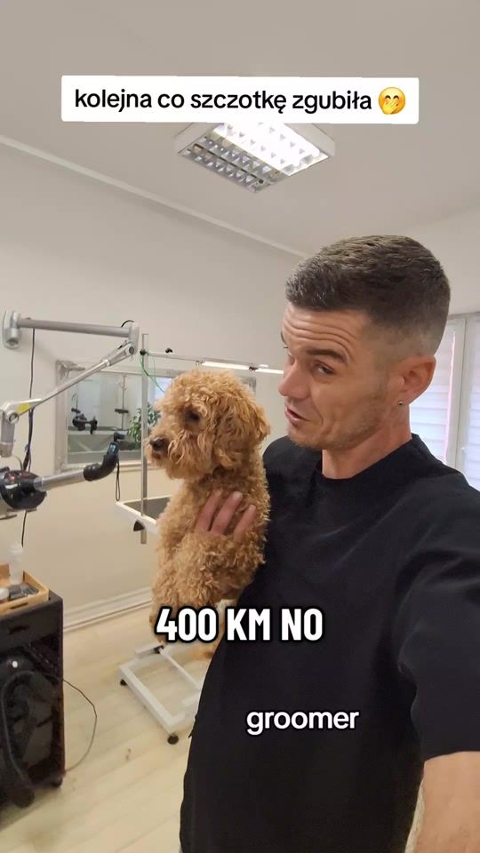 TikTok video thumbnail by pawelgroomer