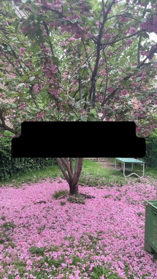TikTok video thumbnail by netsamereja
