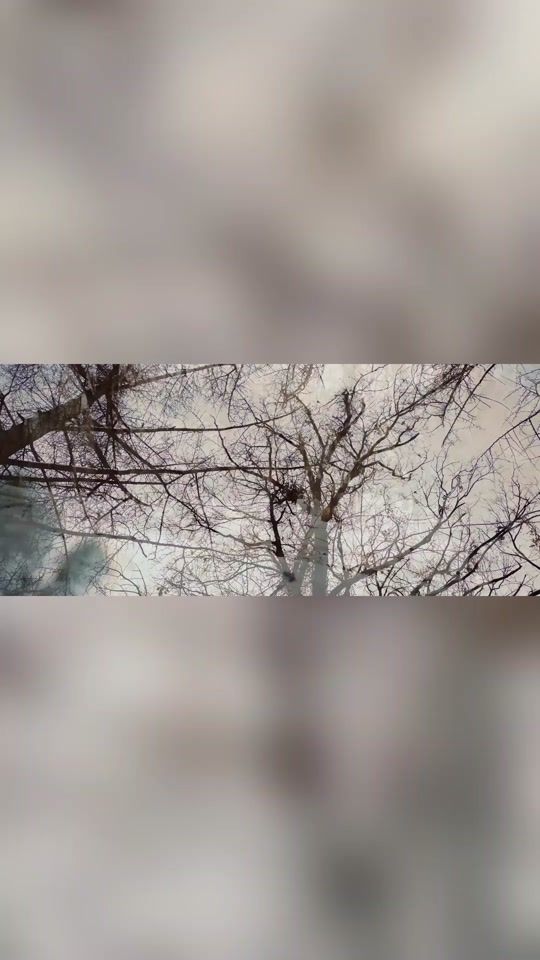 TikTok video thumbnail by maxmusicromania