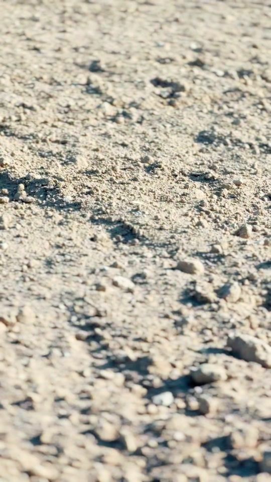 TikTok video thumbnail by cedricvdh