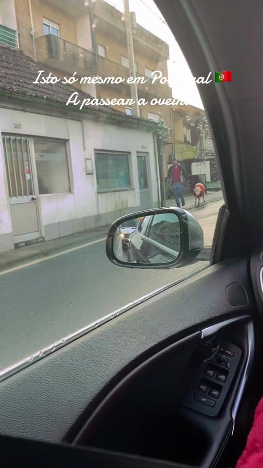 TikTok video thumbnail by portuguesadaniela