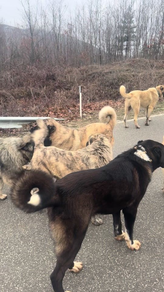 TikTok video thumbnail by taysonirudi