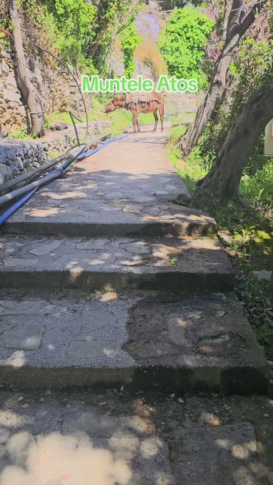 TikTok video thumbnail by anatol.ciuntu