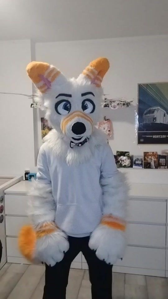 TikTok video thumbnail by blizzard_the_plane_dog