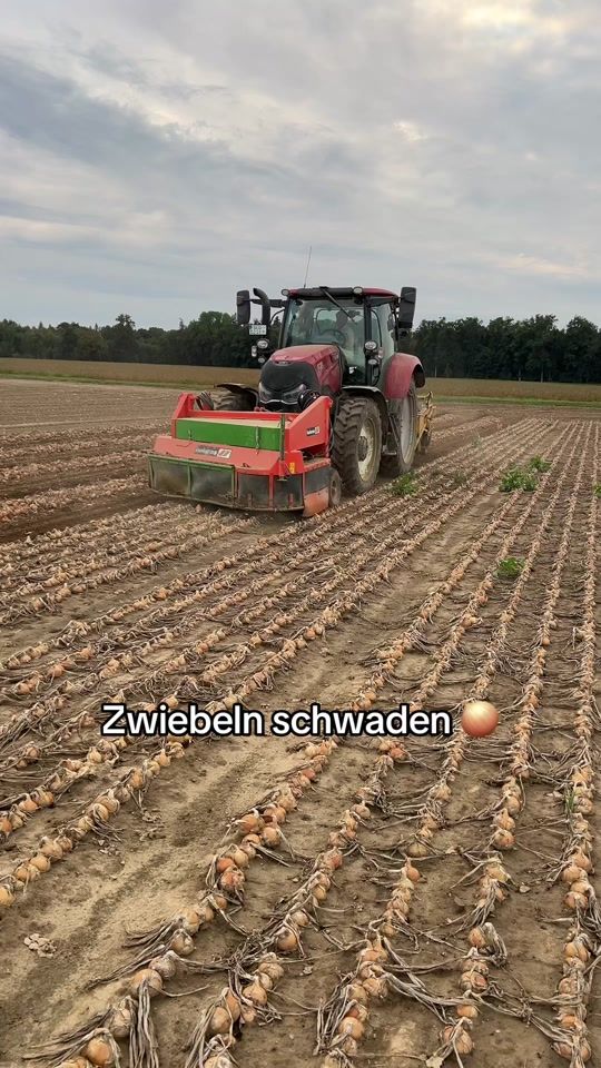 TikTok video thumbnail by lucas_6830