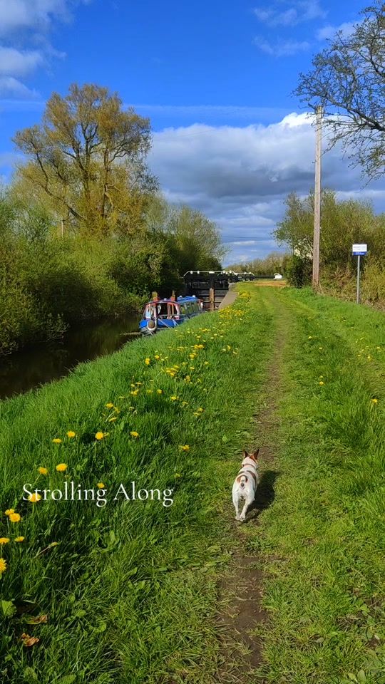 TikTok video thumbnail by flojoeire