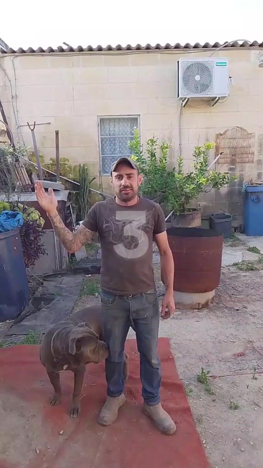 TikTok video thumbnail by marioagius2
