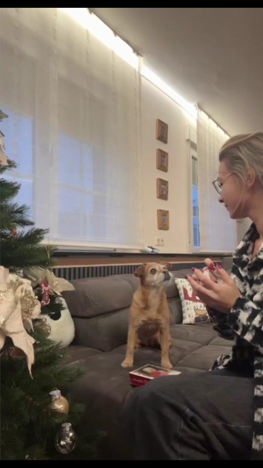 TikTok video thumbnail by shechoosesoptimism