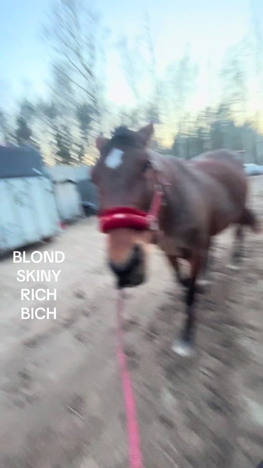 TikTok video thumbnail by eq_stefa
