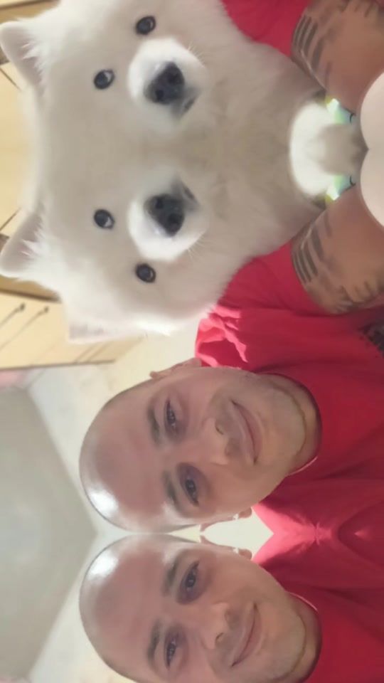 TikTok video thumbnail by d.borisov33