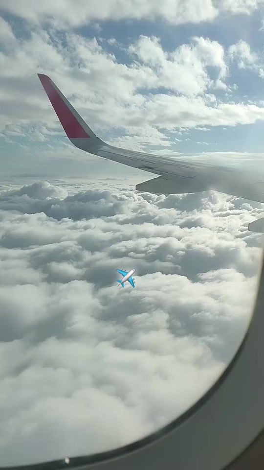 TikTok video thumbnail by yanistibo.2