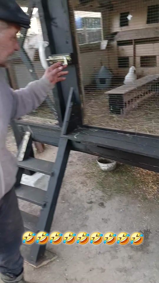 TikTok video thumbnail by santa.nicolae