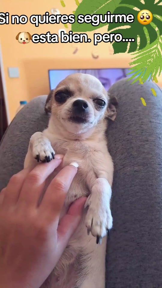 TikTok video thumbnail by rocio.82