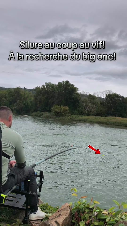 TikTok video thumbnail by cedric_berruyer