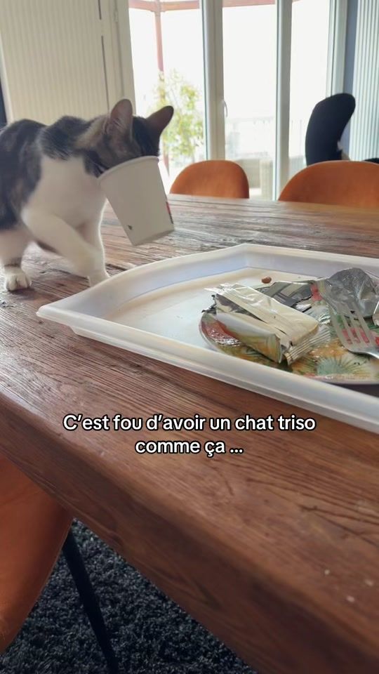 TikTok video thumbnail by iam_corent1