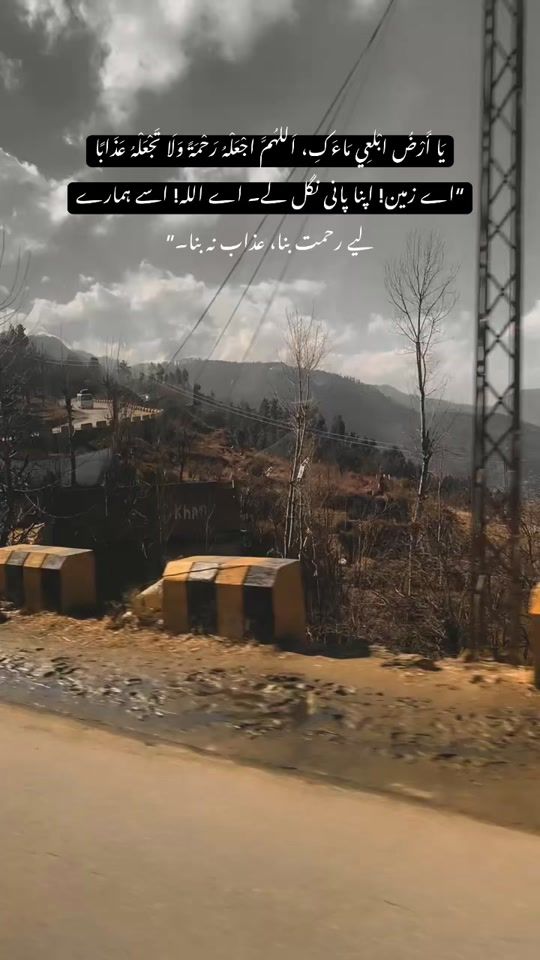 TikTok video thumbnail by wanderingsproutt
