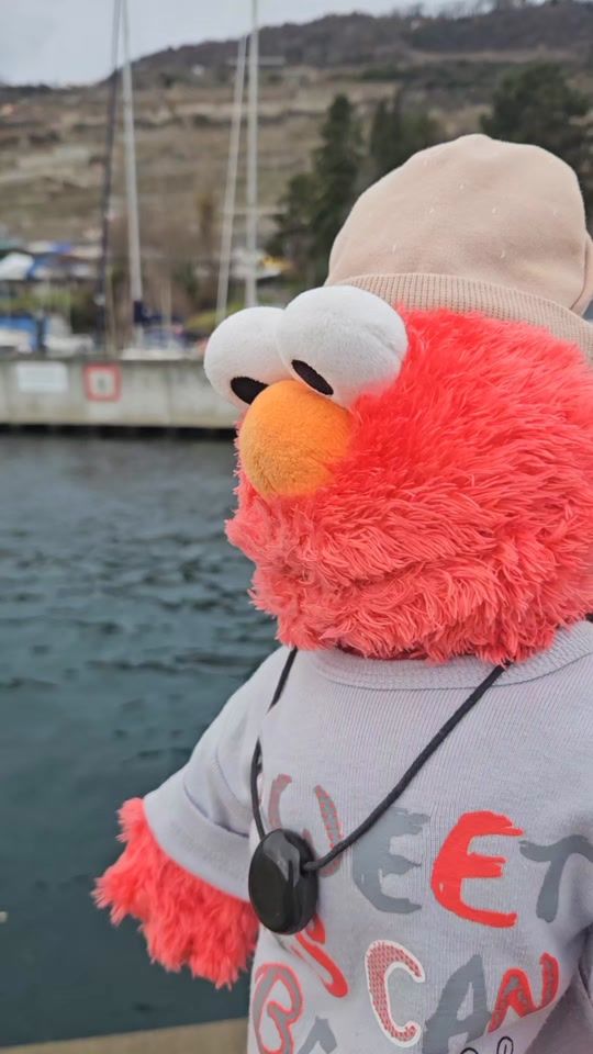TikTok video thumbnail by baka_bakbouk