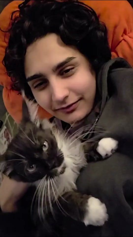 TikTok video thumbnail by whataboutandy