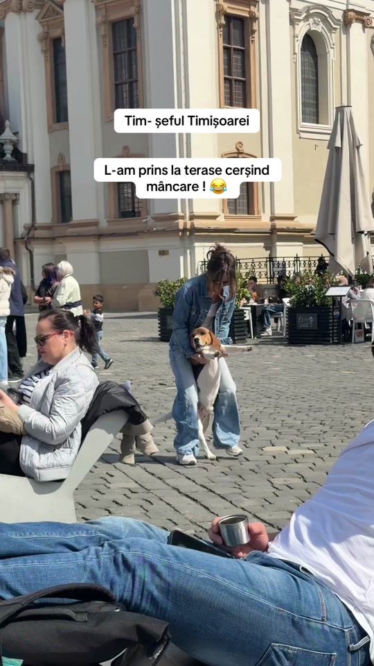 TikTok video thumbnail by tim.lumy