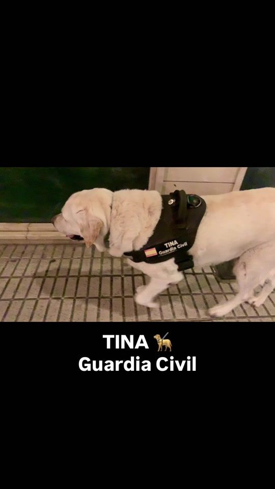 TikTok video thumbnail by lenalenense