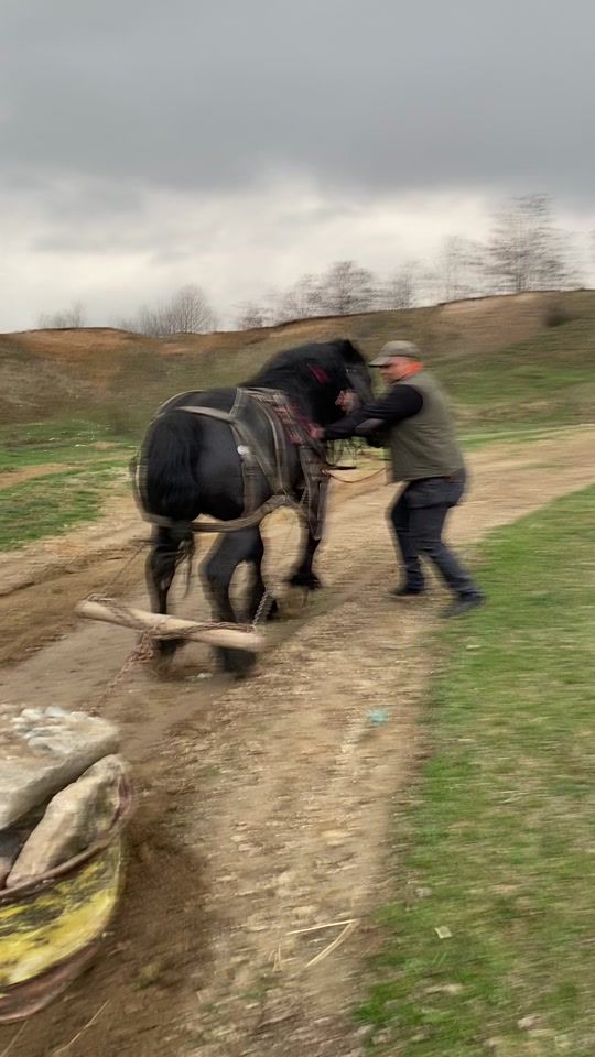 TikTok video thumbnail by benyben313
