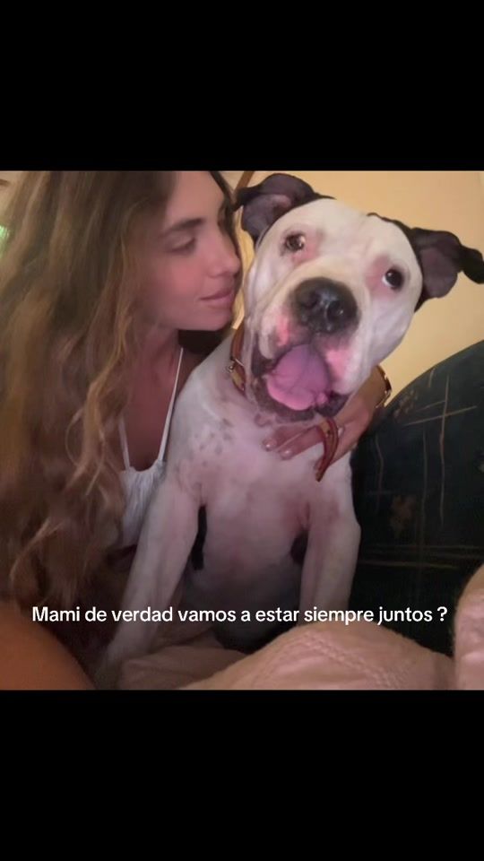 TikTok video thumbnail by robertabaldacci5