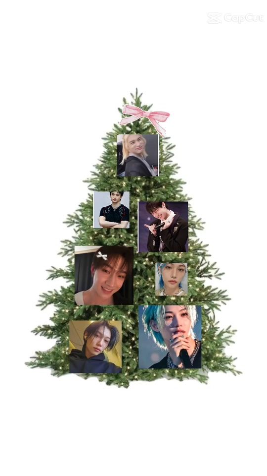 TikTok video thumbnail by hyunjin.im.tree