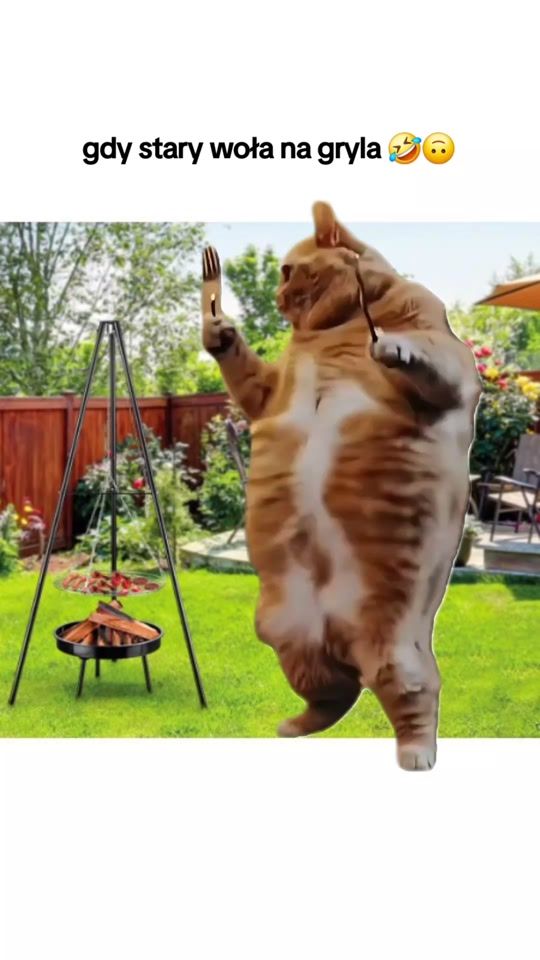 TikTok video thumbnail by agaslowik