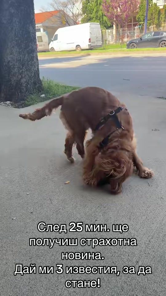 TikTok video thumbnail by __kim.__2