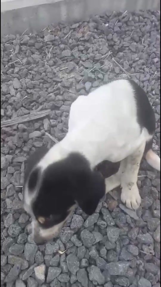 TikTok video thumbnail by indiesworld