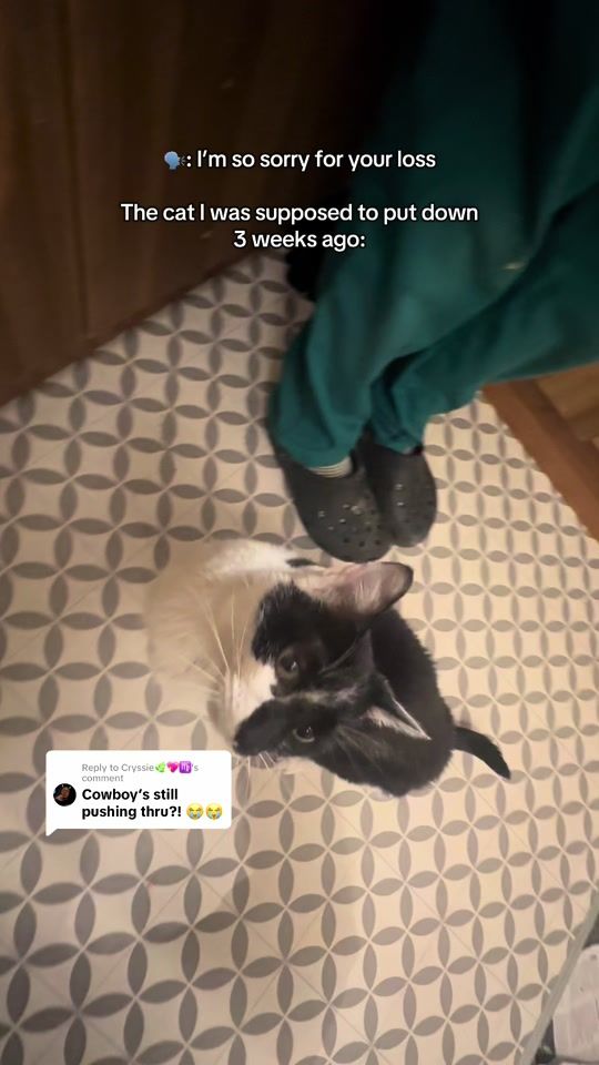 TikTok video thumbnail by the.lucky.thirteen