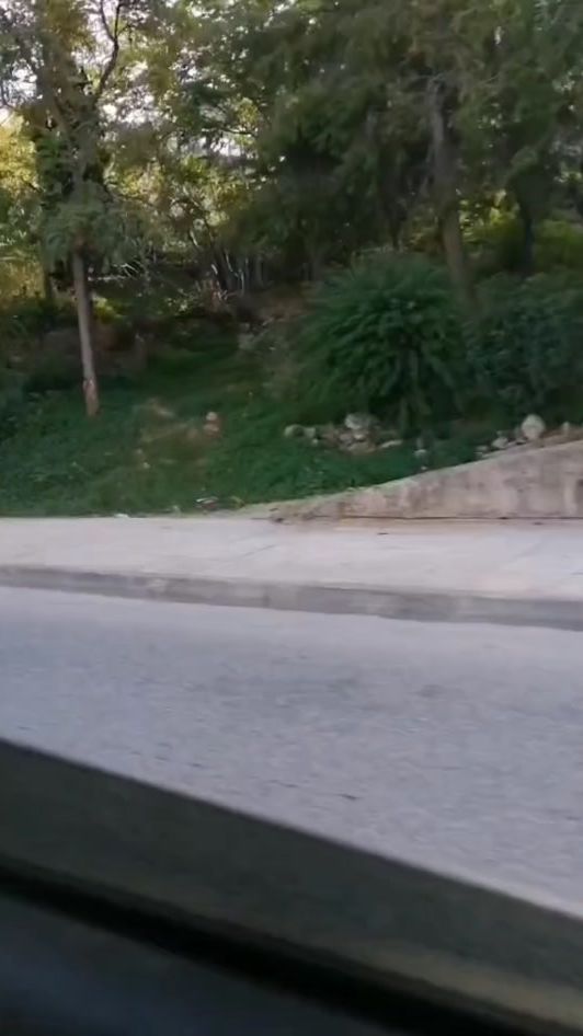 TikTok video thumbnail by albanian_girl