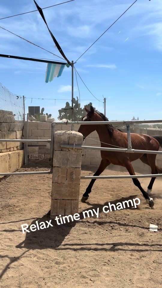 TikTok video thumbnail by boccafarson