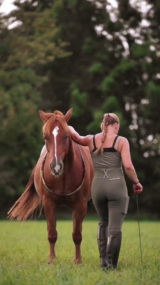 TikTok video thumbnail by hearthhorses