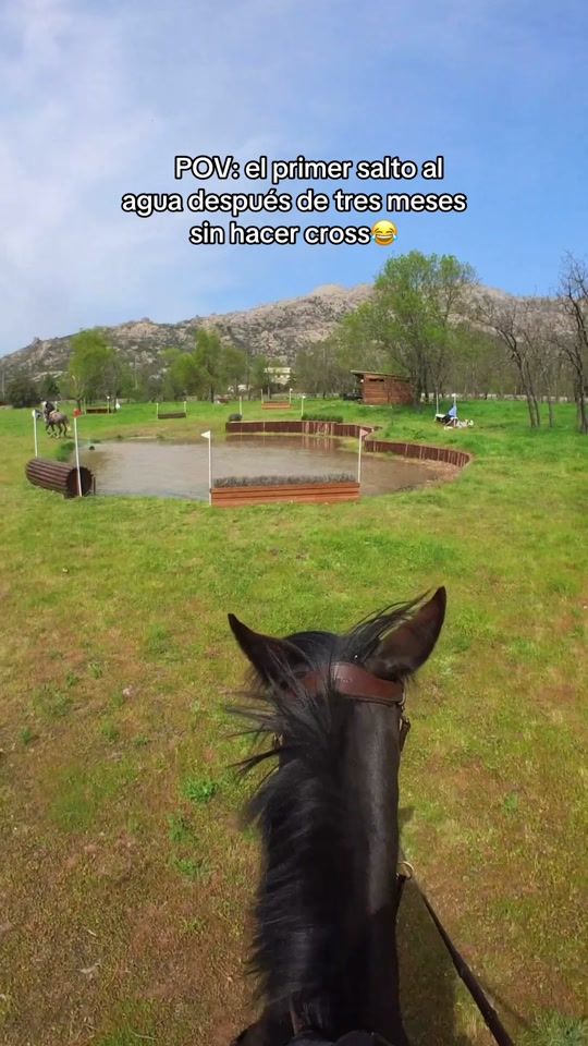 TikTok video thumbnail by eventing_nr