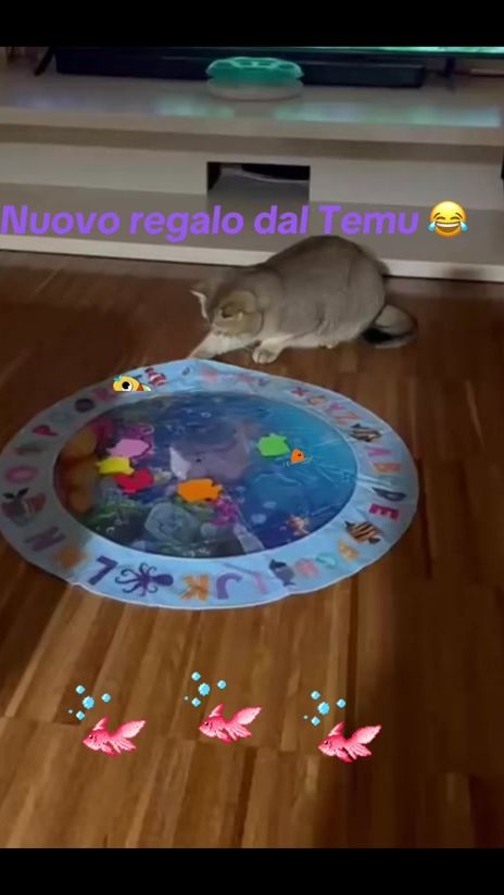 TikTok video thumbnail by milenacatss