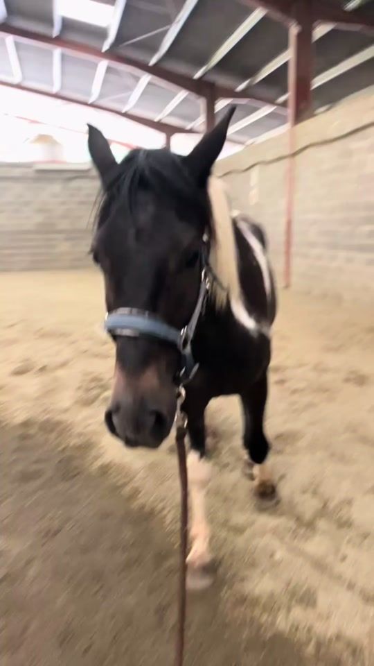 TikTok video thumbnail by manon_estivals
