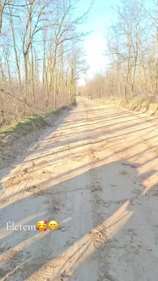 TikTok video thumbnail by _vivcsi_01