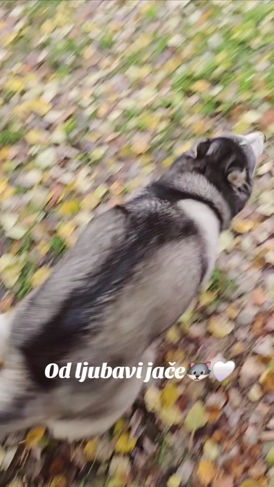 TikTok video thumbnail by spartaa22
