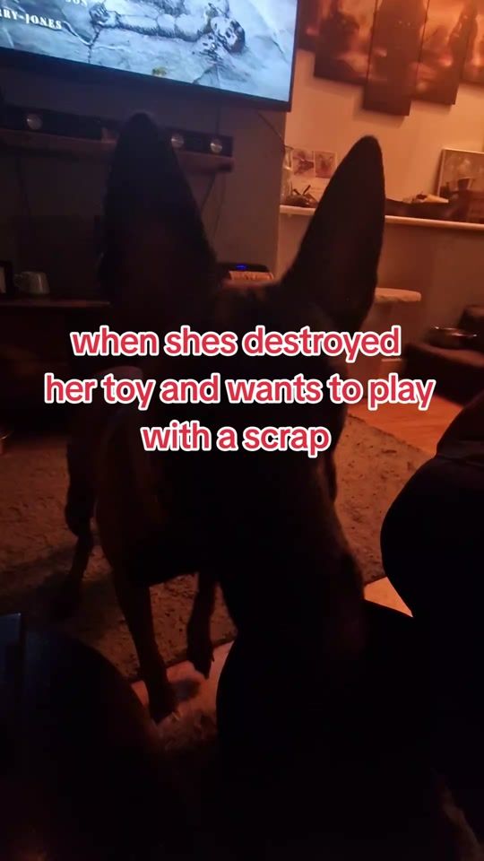 TikTok video thumbnail by th3voic3new