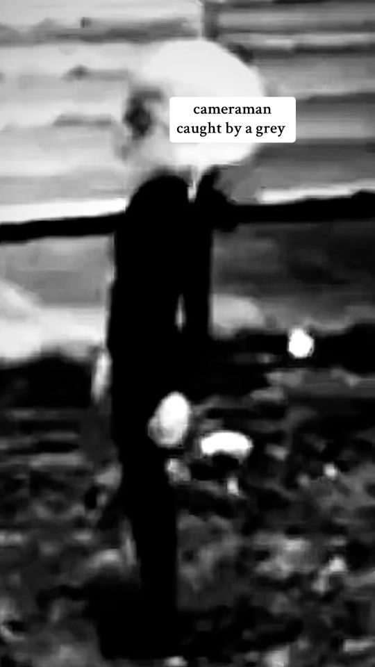 TikTok video thumbnail by ufotopia