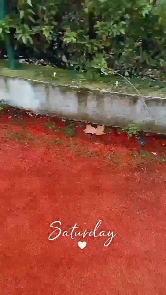 TikTok video thumbnail by telmacristinaa