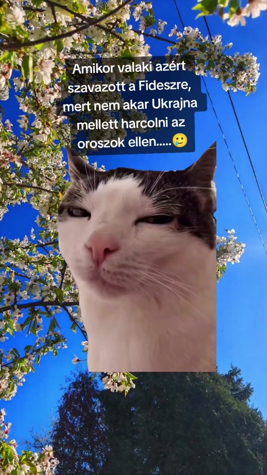 TikTok video thumbnail by klauu_1997